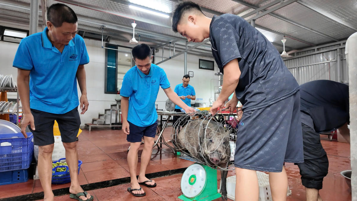 Quảng Ninh: Khẩn trương khắc phục hậu quả của bão số 1