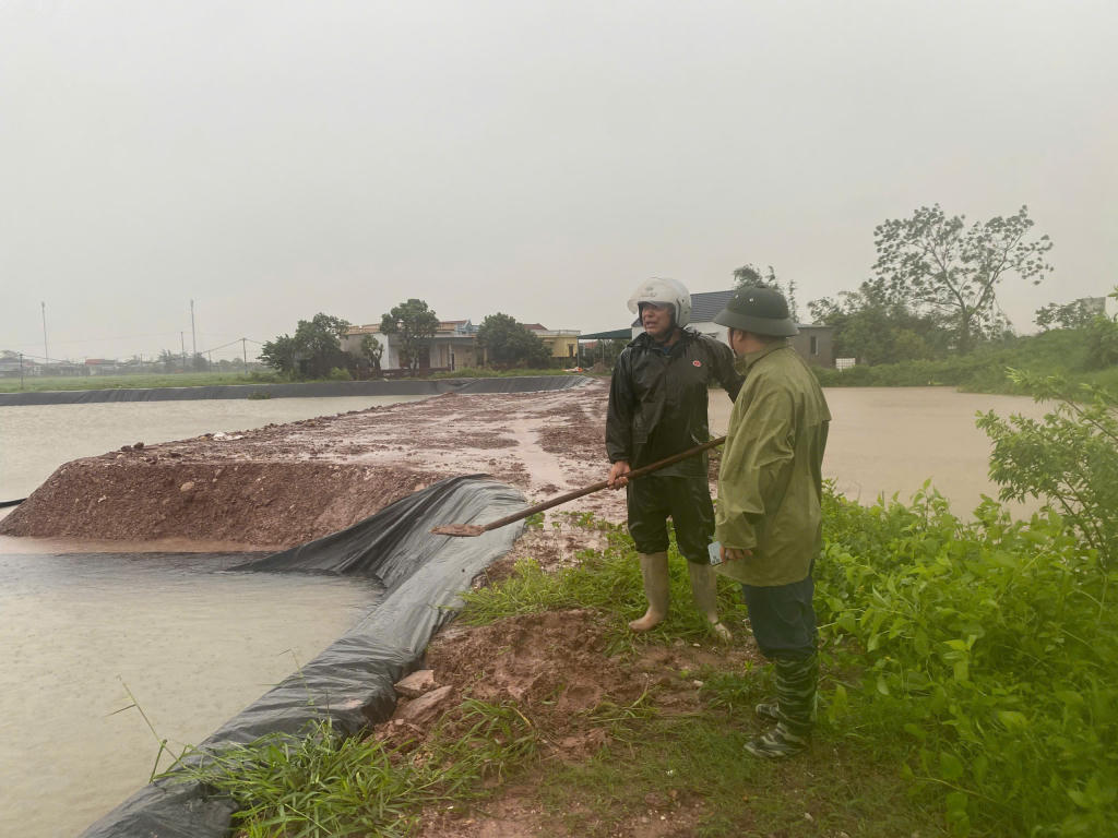 Quảng Ninh: Ước tính thiệt hại do bão khoảng 20 tỷ đồng