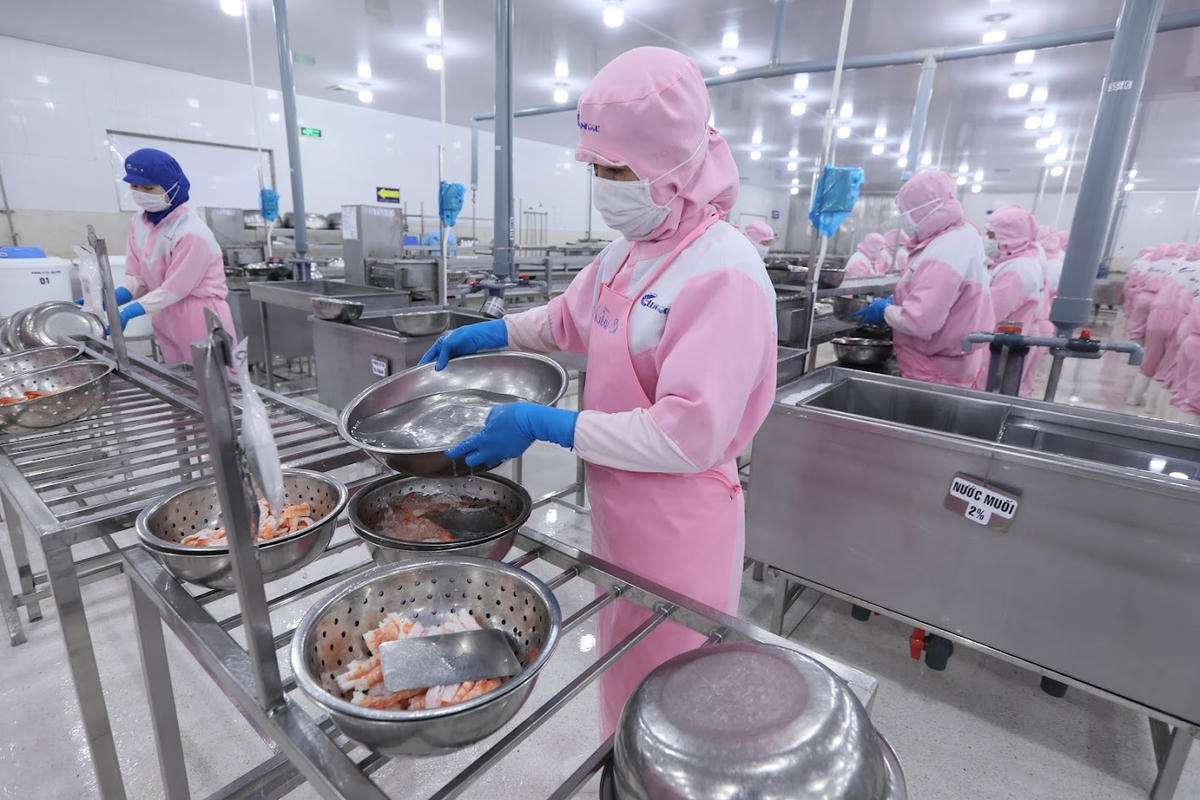 Xuất khẩu thủy sản tiếp tục ghi nhận tăng trưởng khả quan. Ảnh: Quang Vinh.