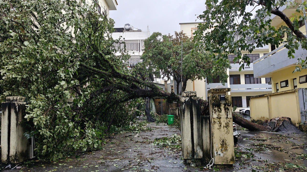 Quảng Ninh: Ước tính thiệt hại do bão khoảng 20 tỷ đồng