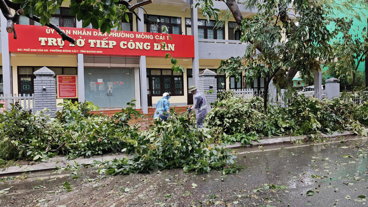 Quảng Ninh: Ước tính thiệt hại do bão khoảng 20 tỷ đồng