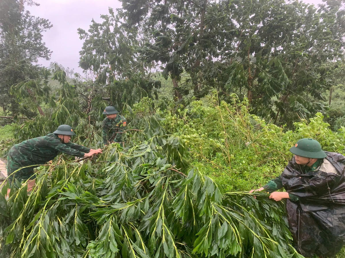 Quảng Ninh: Khẩn trương khắc phục hậu quả của bão số 1