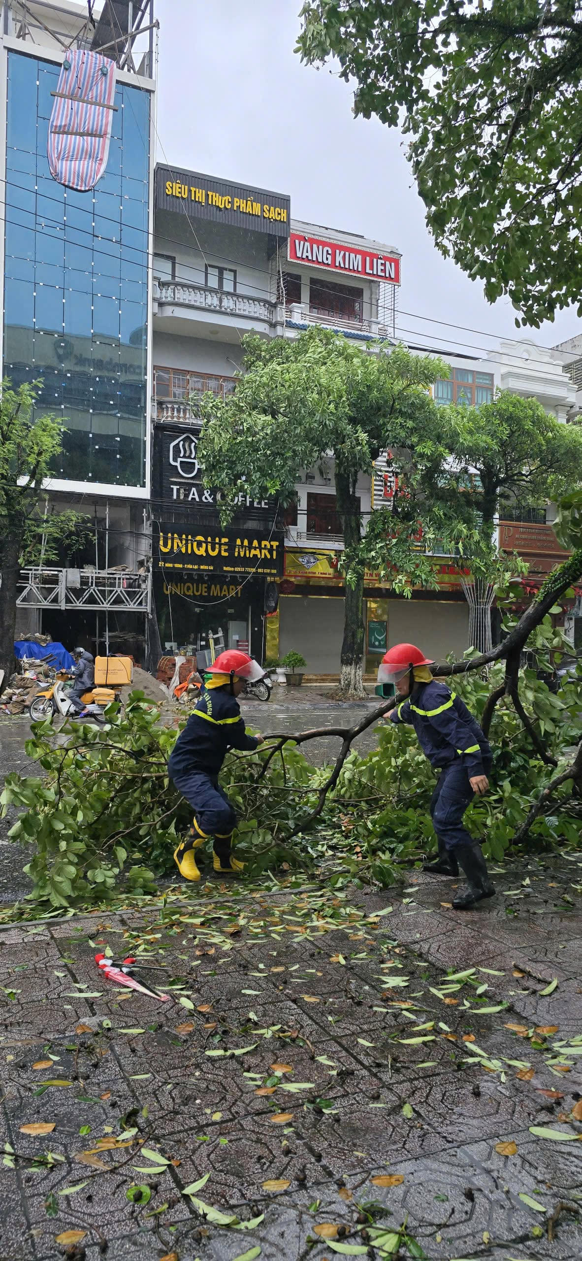 Quảng Ninh: Khẩn trương khắc phục hậu quả của bão số 1