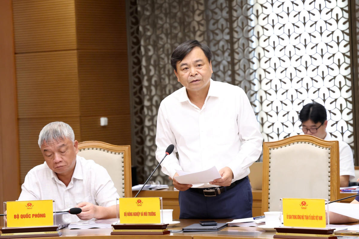 Thứ trưởng Bộ NN&MT Nguyễn Hoàng Hiệp phát biểu tại cuộc họp - Ảnh: Gia Huy