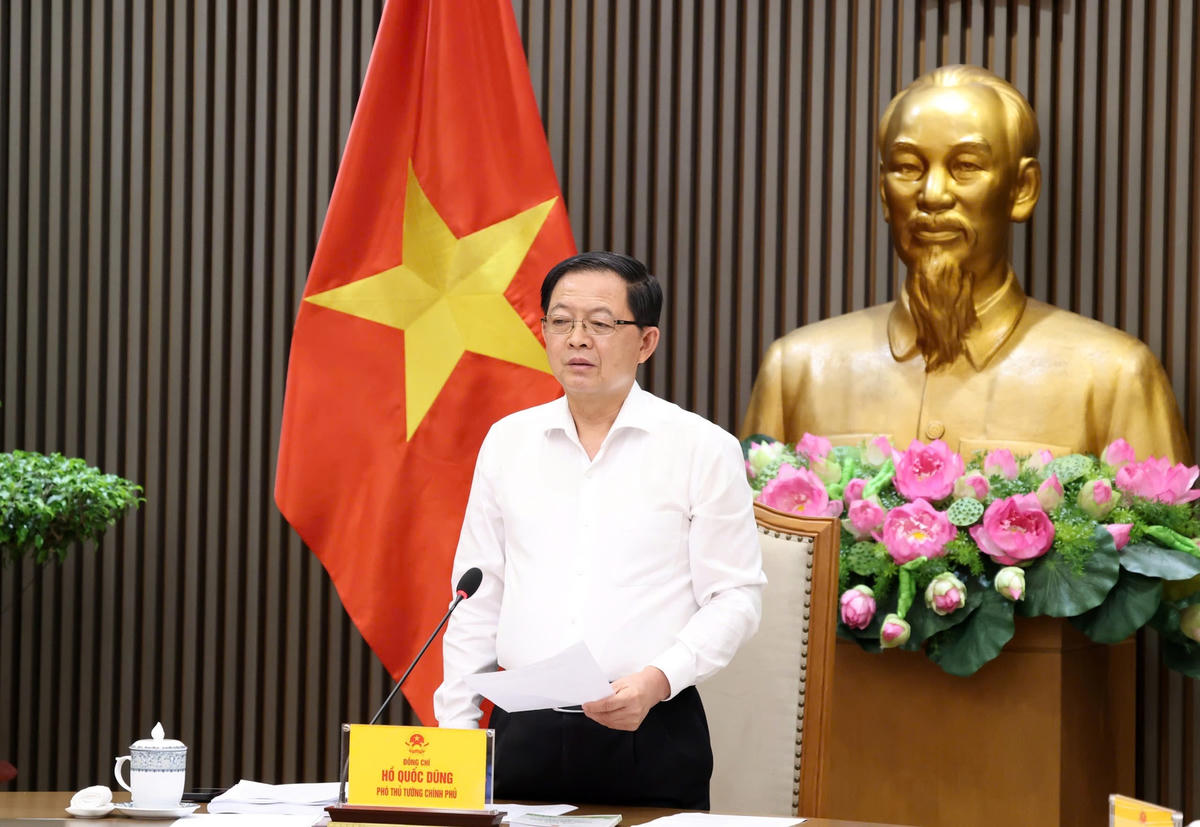 Phó Thủ tướng Hồ Quốc Dũng phát biểu kết luận hội nghị - Ảnh: Gia Huy