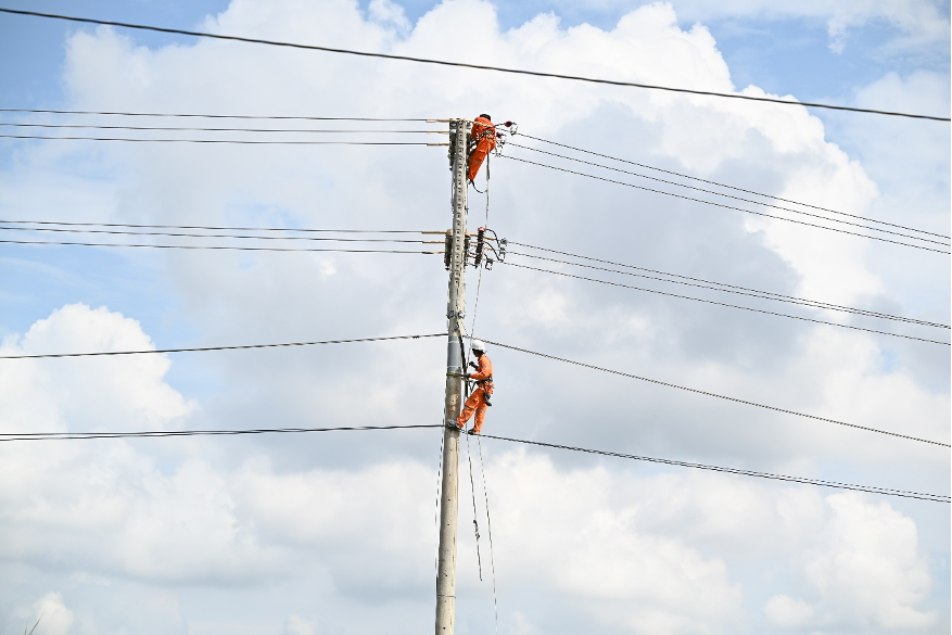 Các Công ty Điện lực tăng cường công tác kiểm tra, bảo dưỡng lưới điện góp phần đảm bảo cung cấp điện an toàn, tin cậy trong 6 tháng đầu năm.