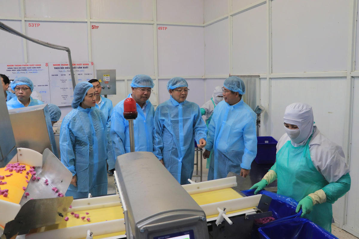 Phó Thủ tướng Chính phủ Hồ Quốc Dũng và Bí thư Tỉnh ủy tỉnh An Giang Nguyễn Tiến Hải tham quan quy trình sản xuất tại Công ty Cổ phần Rau quả thực phẩm An Giang. Ảnh: Phương Vũ