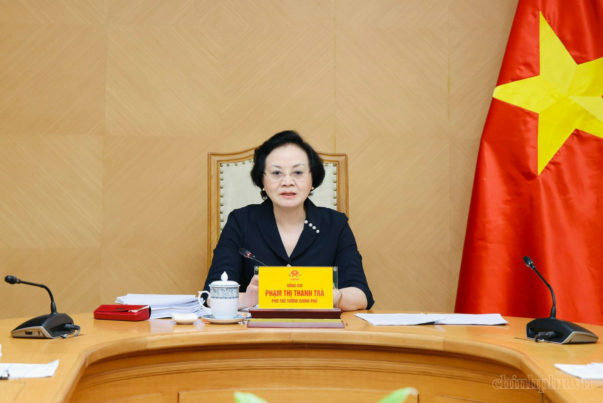 Phó Thủ tướng Phạm Thị Thanh Trà phát biểu tại buổi làm việc - Ảnh: VGP/Thu Giang