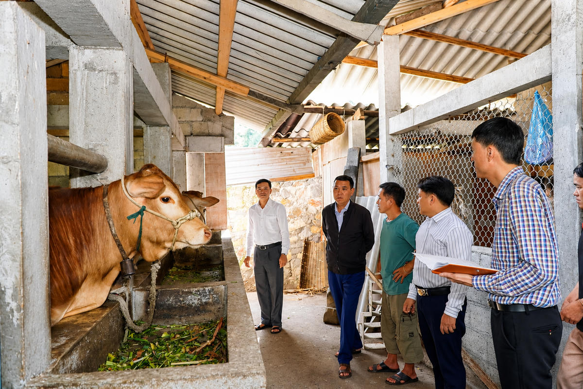 Tổ giám sát số 1 của HĐND xã Mèo Vạc do ông Phạm Văn Tú, Bí thư Đảng ủy, Chủ tịch HĐND xã làm Tổ trưởng đã tiến hành giám sát, kiểm tra việc triển khai thực hiện Chương trình mục tiêu quốc gia giảm nghèo bền vững. Ảnh: TT Xã Mèo Vạc