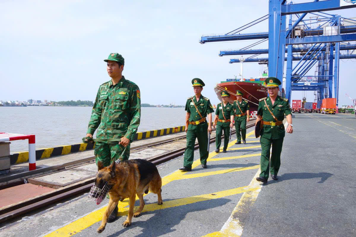 BĐBP thành phố đã quyết liệt xử lý nhiều vụ việc vi phạm pháp luật trong khu vực cửa khẩu cảng của thành phố. Ảnh: Quang Tiến.