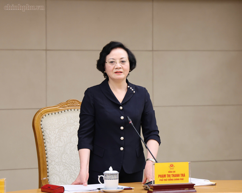 Phó Thủ tướng phát biểu - Ảnh: VGP/Thu Giang