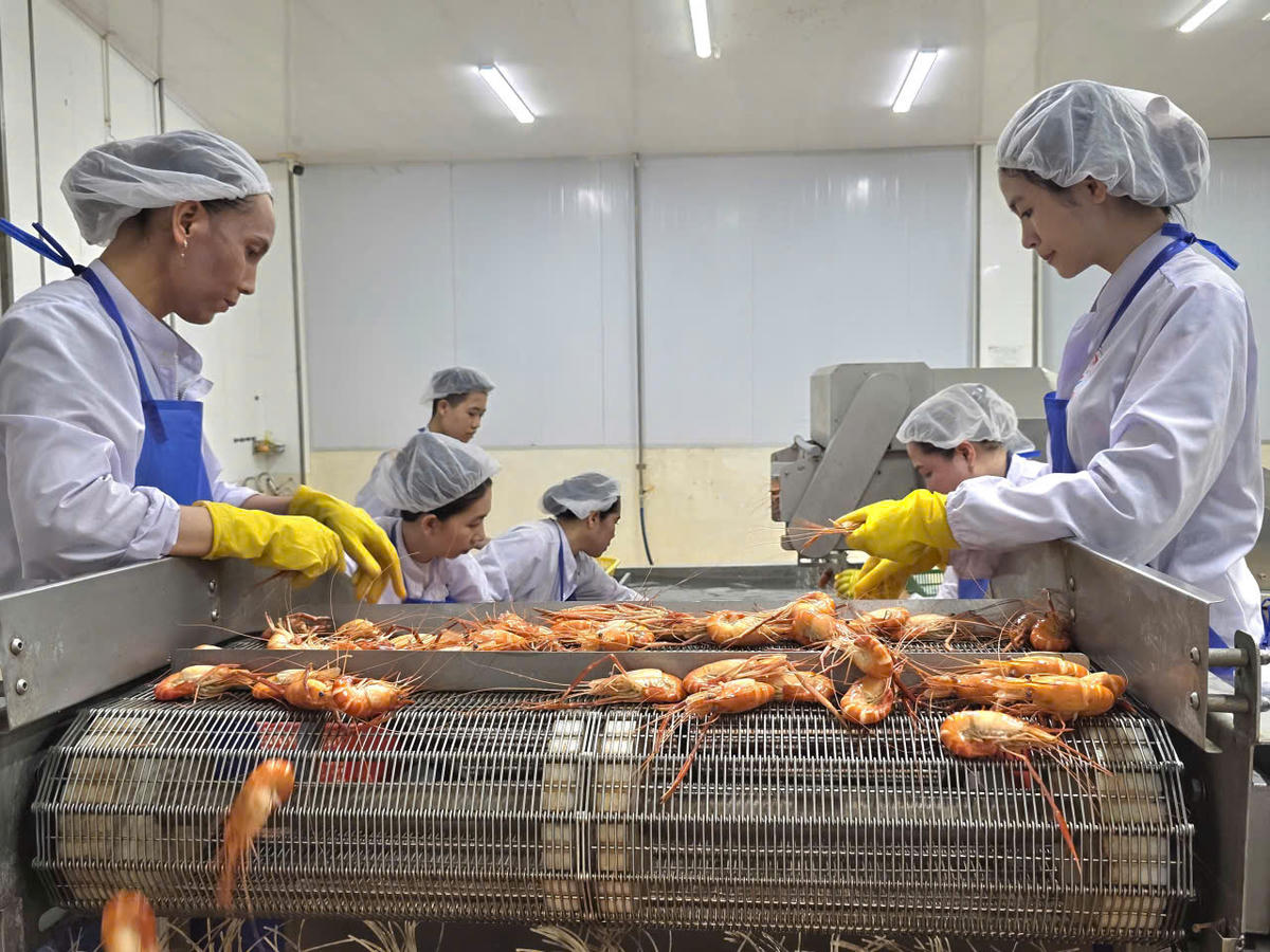 Kim ngạch xuất khẩu của tỉnh Cà Mau 6 tháng đầu năm chạm mốc trên 1.316 triệu USD (tăng 14,2%), riêng xuất khẩu thủy sản đóng góp đến trên 1.110 triệu USD. ​Ảnh: Nguyên Du