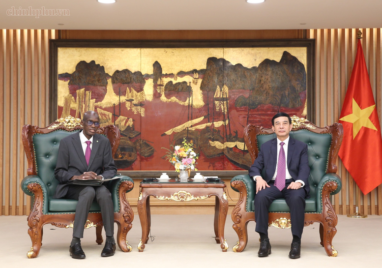Đại tướng Phan Văn Giang tiếp Bộ trưởng, Tổng Thư ký Chính phủ Mauritania - Ảnh: VGP/Nguyễn Hoàng