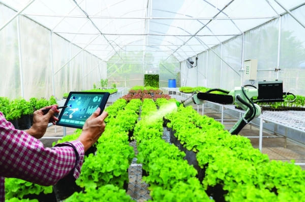 “Tấm hộ chiếu xanh” cho nông sản Việt