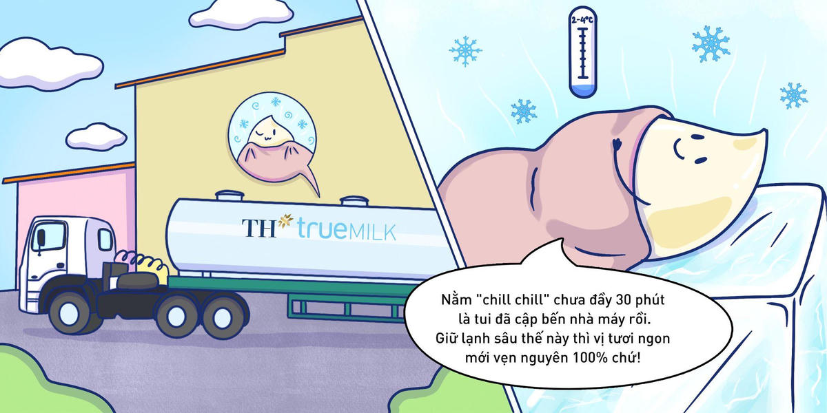 Hành trình khép kín hoàn hảo của giọt sữa tươi sạch TH true MILK