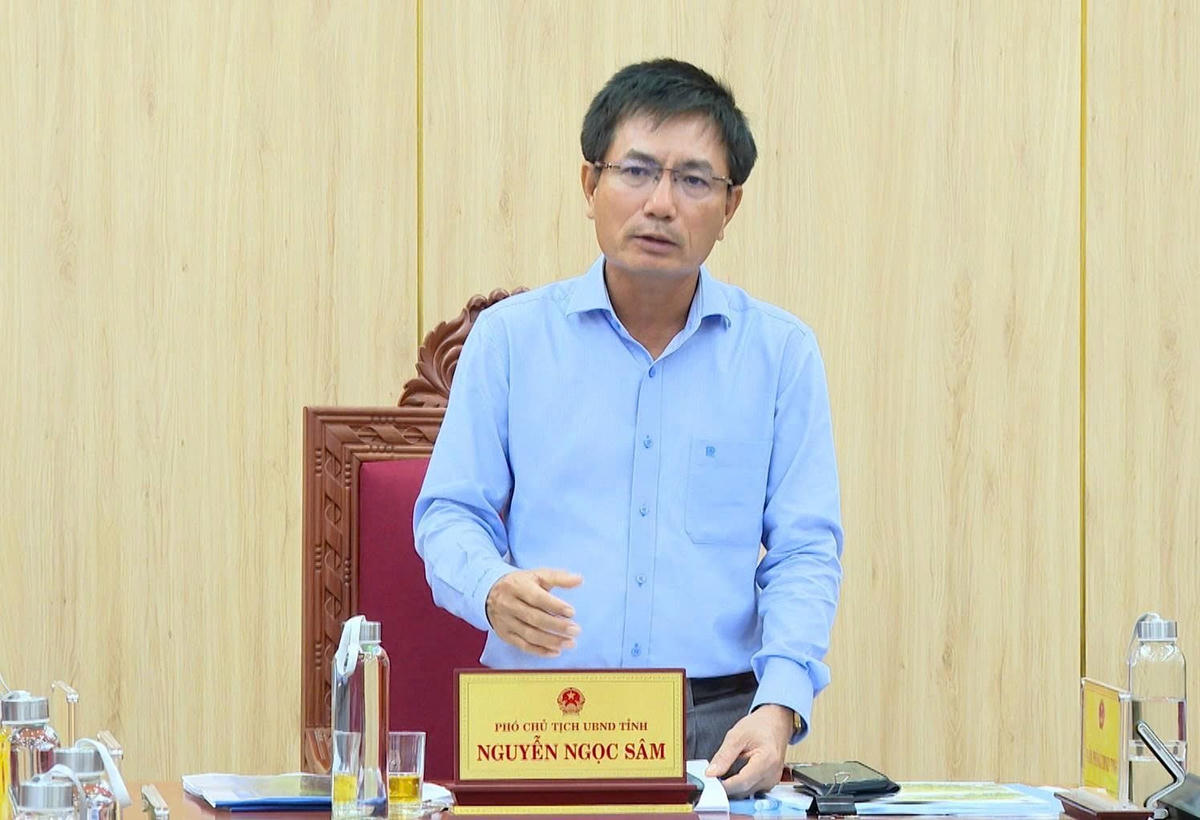 Ông Nguyễn Ngọc Sâm, Phó Chủ tịch UBND tỉnh Quảng Ngãi phát biểu tại buổi làm việc. Ảnh: BT.