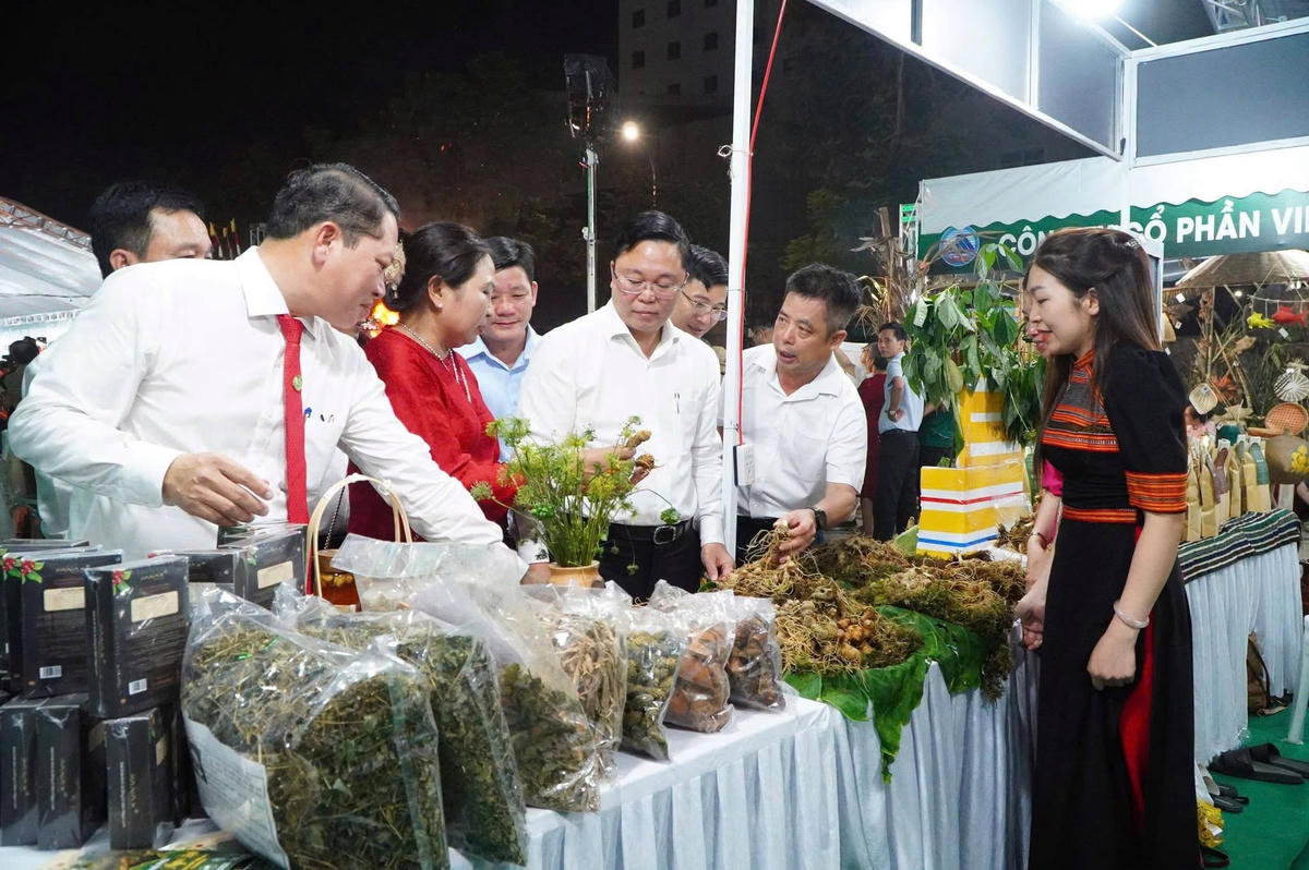 Thời gian qua TP Đà Nẵng tổ chức nhiều hoạt động phát triển giá trị sâm Ngọc Linh. Ảnh: Bùi Hường.