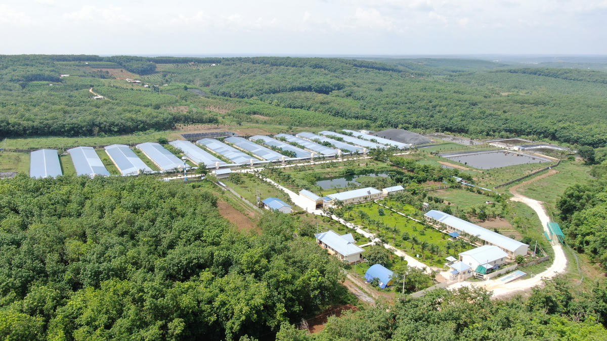 C.P. Việt Nam phát triển trang trại theo hướng kiểm soát an toàn sinh học, chất lượng đầu vào và truy xuất nguồn gốc. Ảnh: C.P. Việt Nam&nbsp;