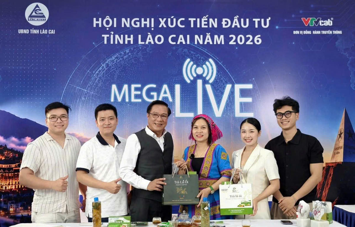 Megalive và câu chuyện mới trong xúc tiến đầu tư của Lào Cai