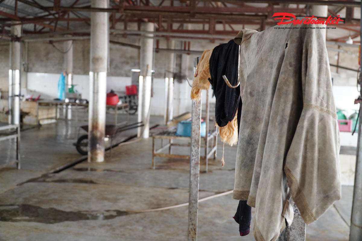 Hà Tĩnh: Bất cập tại các cơ sở giết mổ 