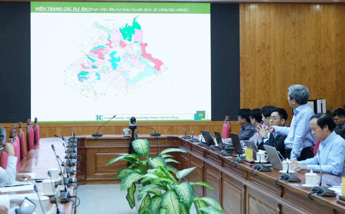 Các đơn vị tư vấn thuyết trình phương án.