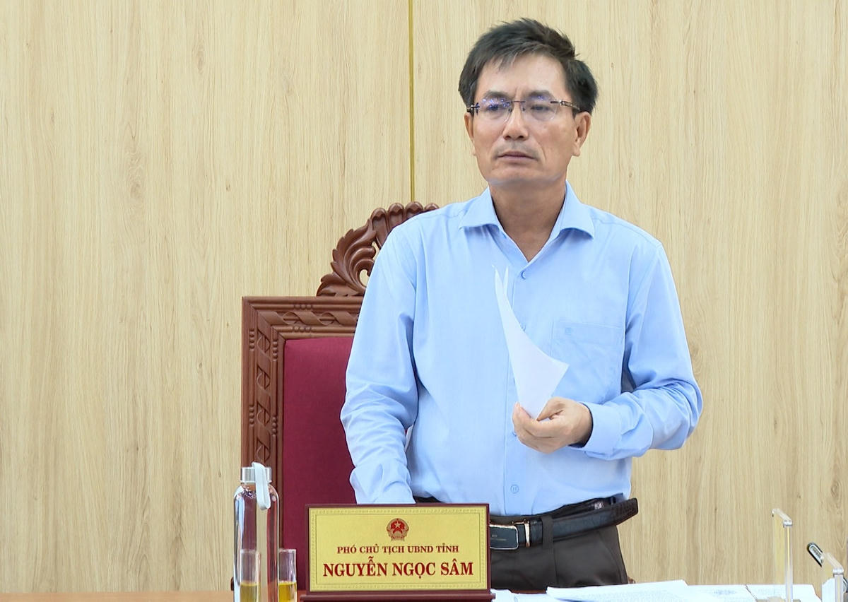 Ông Nguyễn Ngọc Sâm, Phó Chủ tịch UBND tỉnh Quảng Ngãi phát biểu tại cuộc họp. Ảnh: BT.