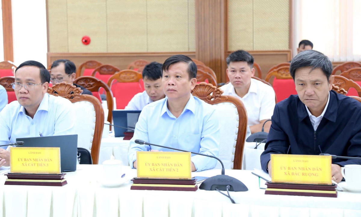 Các đại biểu tham dự buổi làm việc.