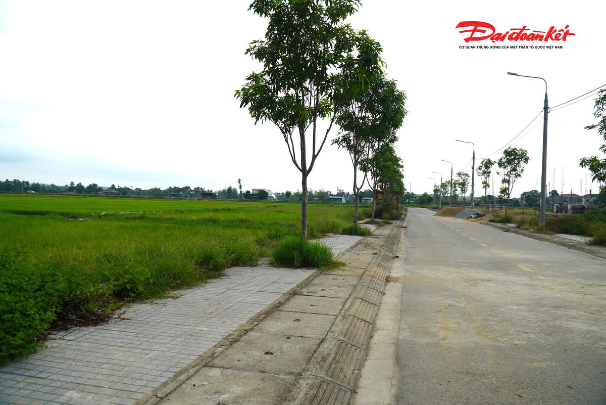 Ngoài tuyến đường thảm nhựa, các hạng mục hạ tầng khác chưa xây dựng, nền đất là mặt ruộng trồng lúa. Ảnh: HN.