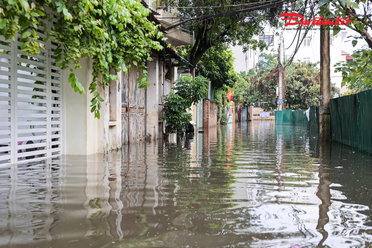 Mưa lớn khiến ngõ 39 Tứ Liên "dềnh nước", người dân tất bật chống ngập