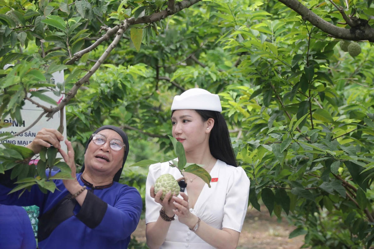 Một hộ gia đình trồng na tại Chi Lăng giới thiệu sản phẩm cho khách tại vườn nhà.
