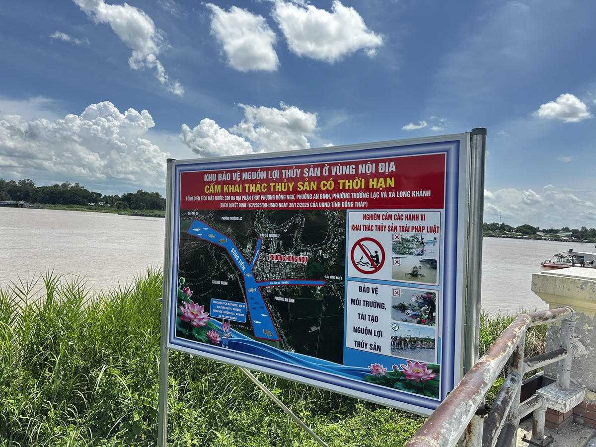Bảng thông tin khu bảo vệ nguồn lợi thủy sản vùng nội địa trên sông Tiền, nơi cấm khai thác thủy sản nhằm bảo vệ và tái tạo nguồn lợi thủy sản. (Ảnh: Trung Ngãi).