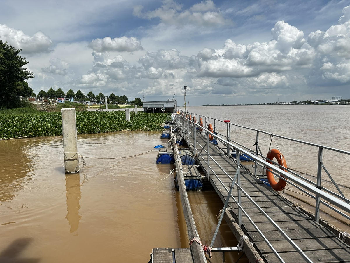 Khu bảo vệ nguồn lợi thủy sản tại bến nước Đình An Bình (phường Hồng Ngự, tỉnh Đồng Tháp) trên sông Tiền đang trở thành nơi cư trú của hàng trăm tấn cá tự nhiên. (Ảnh: Trung Ngãi).