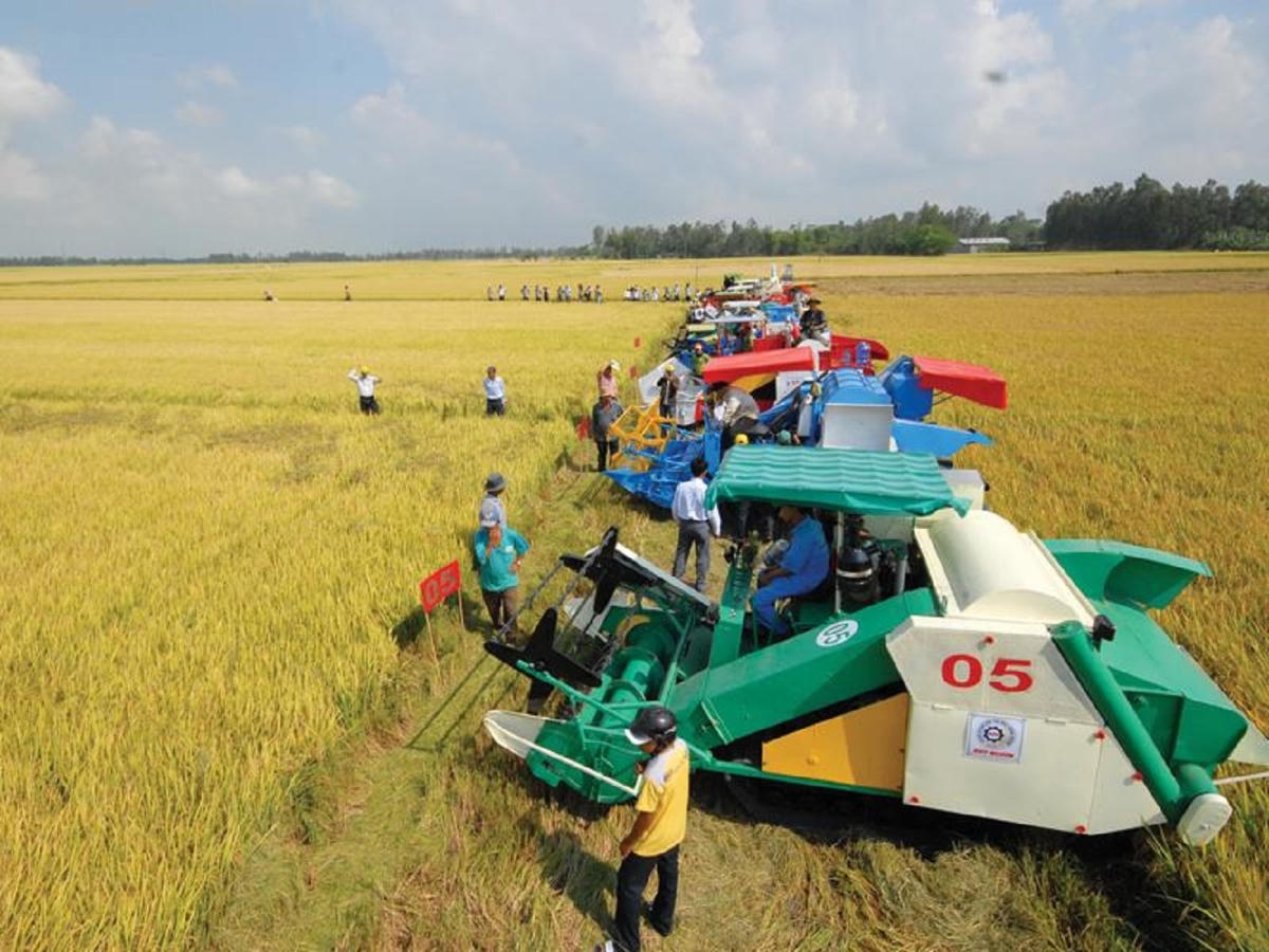 Theo đánh giá sản xuất lúa đã đạt mức cơ giới hóa cao ở khâu làm đất và thu hoạch Ảnh: Chu Khôi