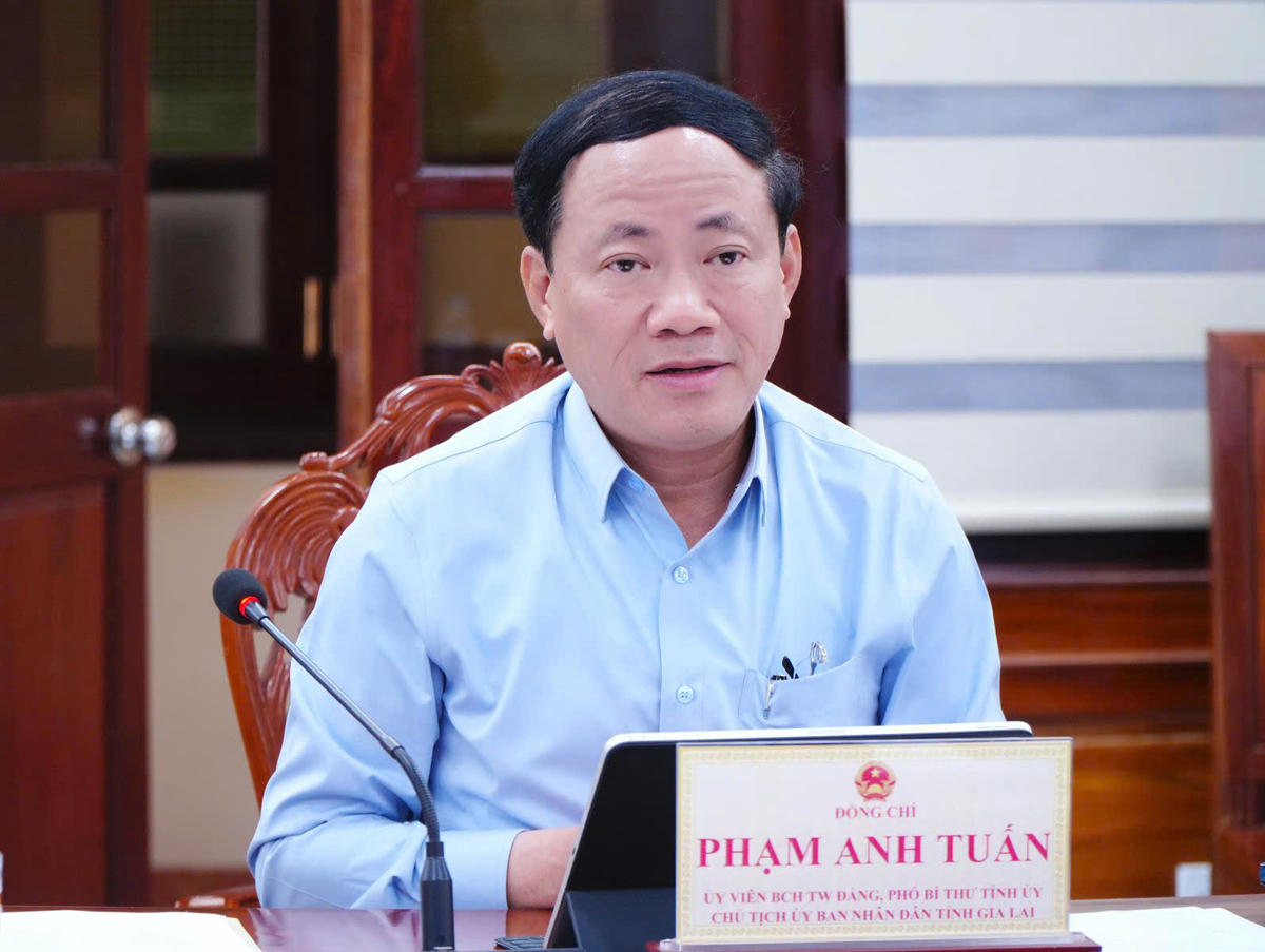 Ông Phạm Anh Tuấn, Chủ tịch UBND tỉnh Gia Lai phát biểu tại buổi làm việc. Ảnh: ĐS.