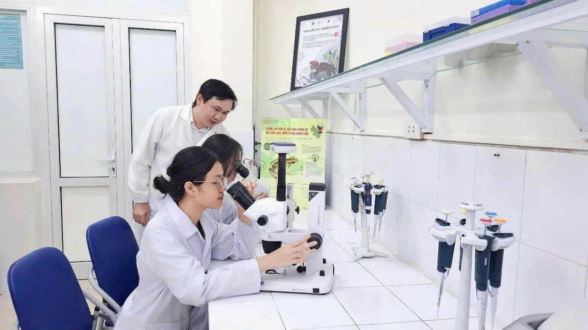 [PODCAST] Tài nguyên giáo dục mở trở thành nền tảng của giáo dục đại học số