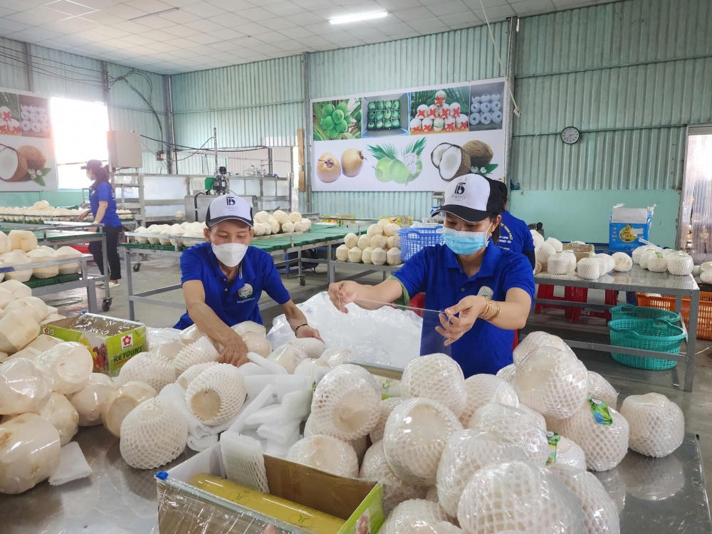 GDP khu vực nông, lâm nghiệp và thủy sản ước tính 7 tháng đầu năm, xuất khẩu đạt 42,8 tỷ USD, tăng 7,5%. Ảnh: NN