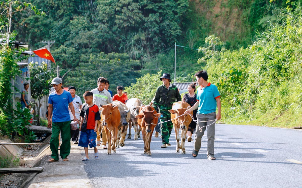 Nhiều hộ dân thuộc các xã vùng cao xứ Thanh thoát nghèo nhờ các chương trình, chính sách. Ảnh: Đình Minh