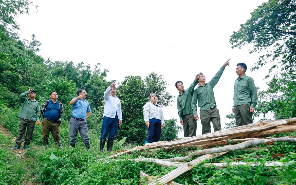 Nguồn kinh phí từ bảo vệ rừng giúp người dân xã Trung Lý đầu tư sản xuất, phát triển kinh tế. Ảnh: Đình Minh