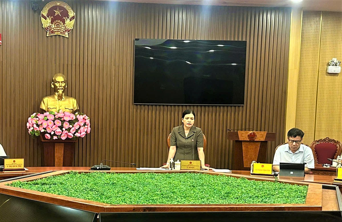Bà&nbsp;Y Ngọc, Phó Chủ tịch UBND tỉnh Quảng Ngãi phát biểu tại buổi làm việc. Ảnh: CĐ.