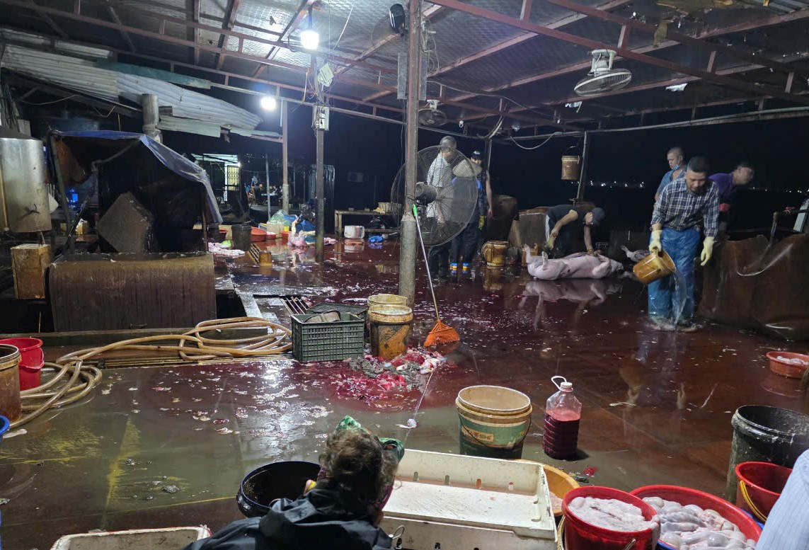 Quảng Ninh: Chấm dứt hoạt động các cơ sở giết mổ nhỏ lẻ, không bảo đảm điều kiện