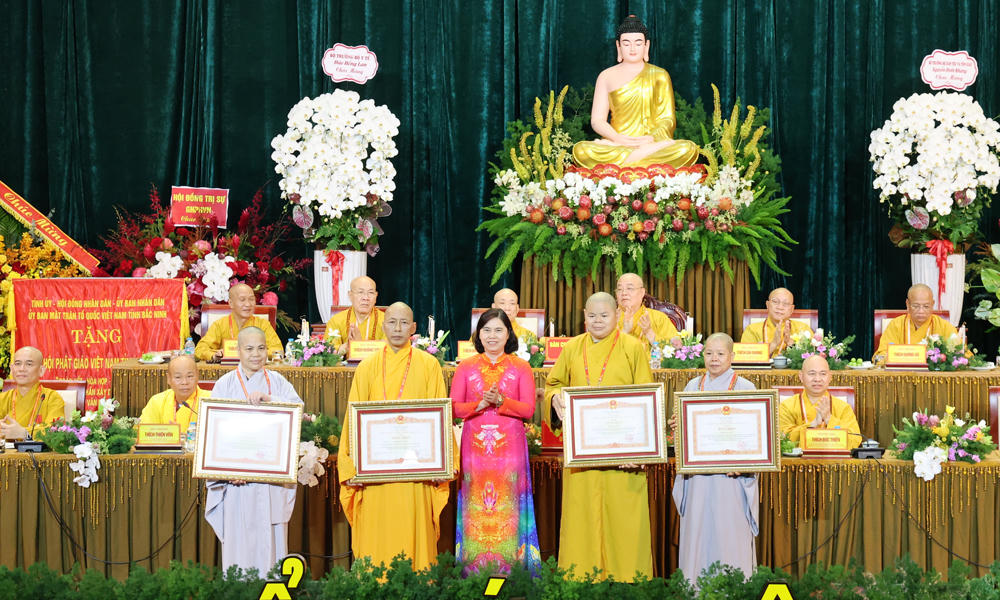 Thừa ủy quyền của Thủ tướng Chính phủ, Phó Chủ tịch Thường trực HĐND tỉnh Trần Thị Hằng trao Bằng khen của Thủ tướng Chính phủ cho các cá nhân. Ảnh: BBN