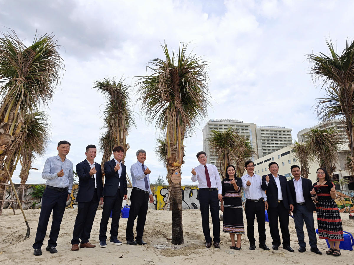 Quận Hamyang Hàn Quốc trồng dừa tặng biển Đà Nẵng chống xâm thực
