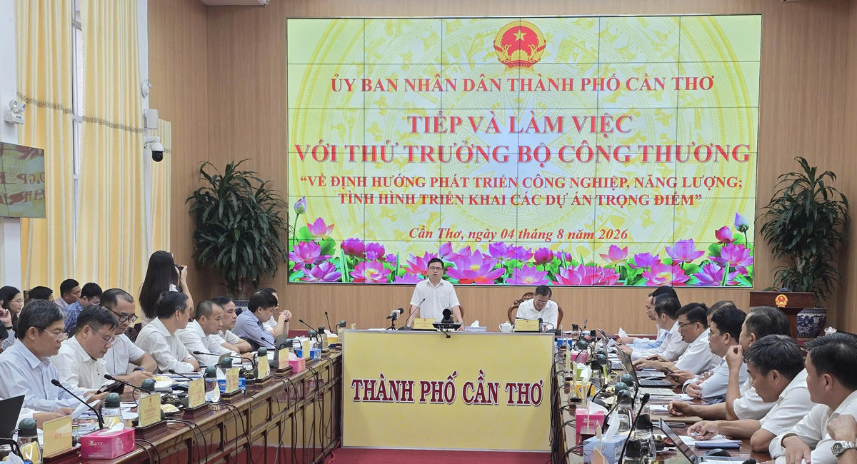 Thứ trưởng Bộ Công Thương Trương Thanh Hoài phát biểu tại buổi làm việc. Ảnh Hồng Thắm