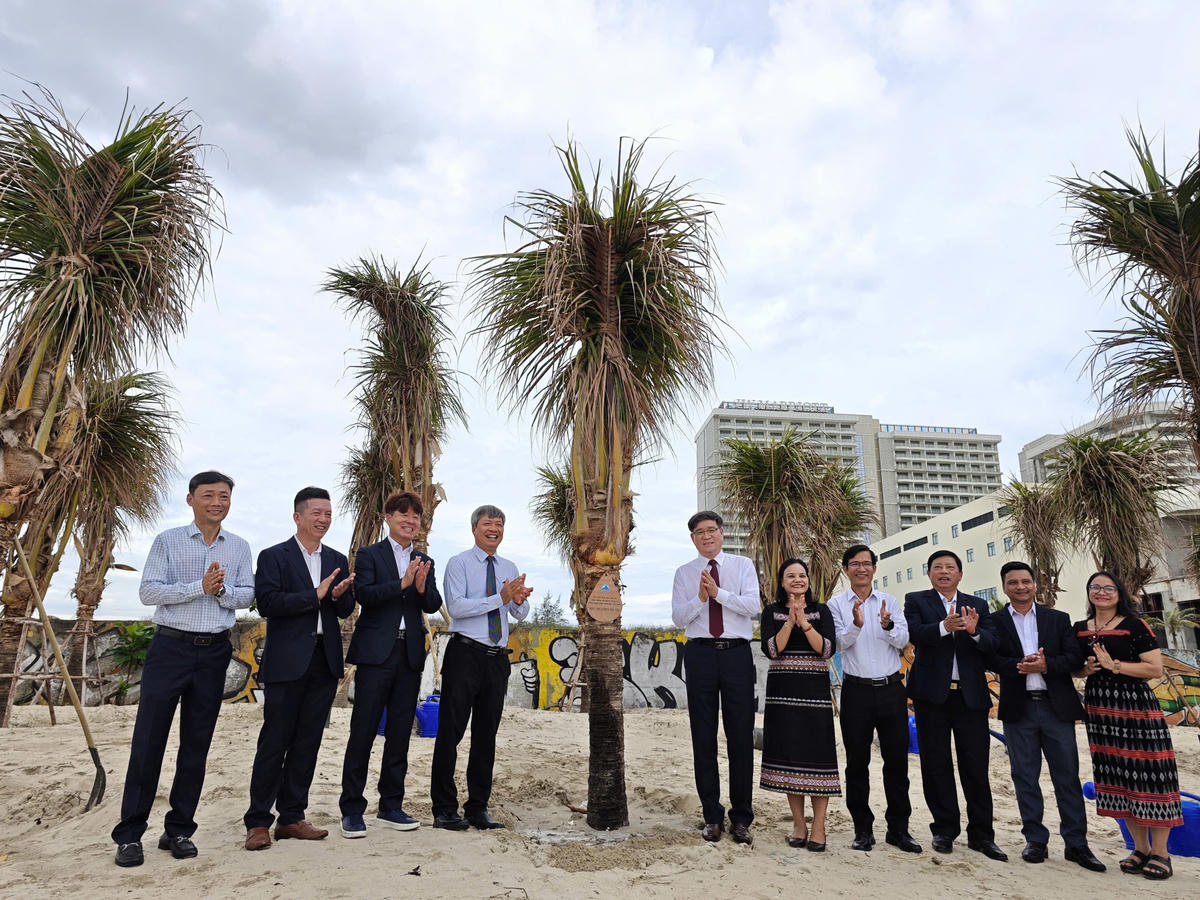 Quận Hamyang Hàn Quốc trồng dừa tặng biển Đà Nẵng chống xâm thực