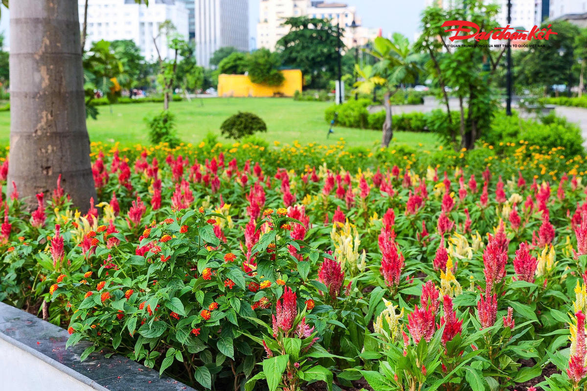 Công viên 28 ha giữa Thủ đô thay tên, đổi diện mạo