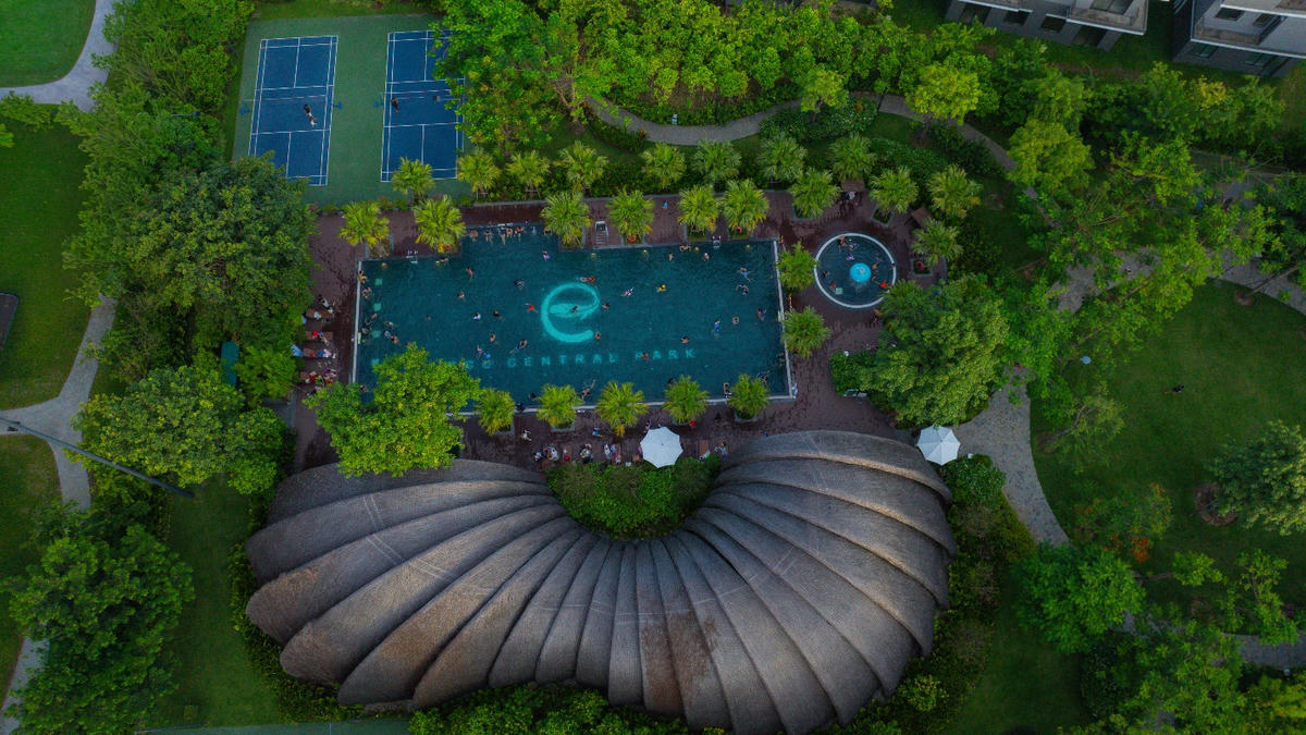 A pool surrounded by trees

Description automatically generated