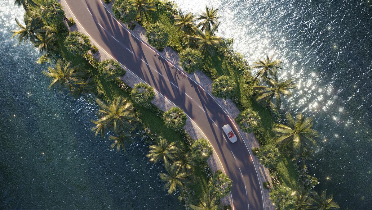 A road surrounded by palm trees

Description automatically generated