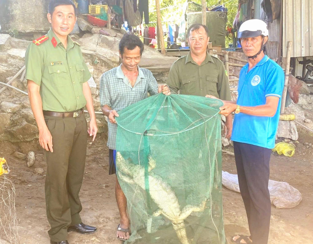 Cá thể kỳ đà hoa quý hiếm được đưa về môi trường sông tự nhiên ở Khu bảo đất ngập nước Láng Sen. Ảnh: An Lộc.