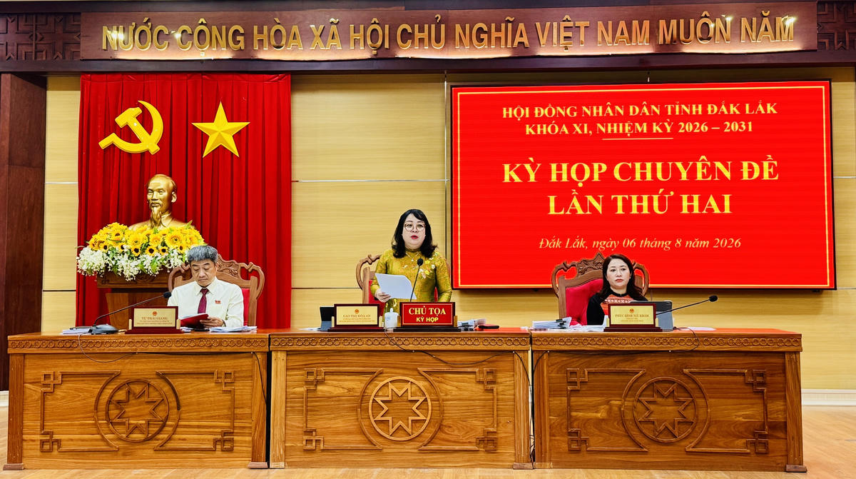 Bà Cao Thị Hòa An, Ủy viên Ban Chấp hành Trung ương Đảng, Phó Bí thư Thường trực Tỉnh ủy, Chủ tịch HĐND tỉnh phát biểu. Ảnh: Thanh Nga.