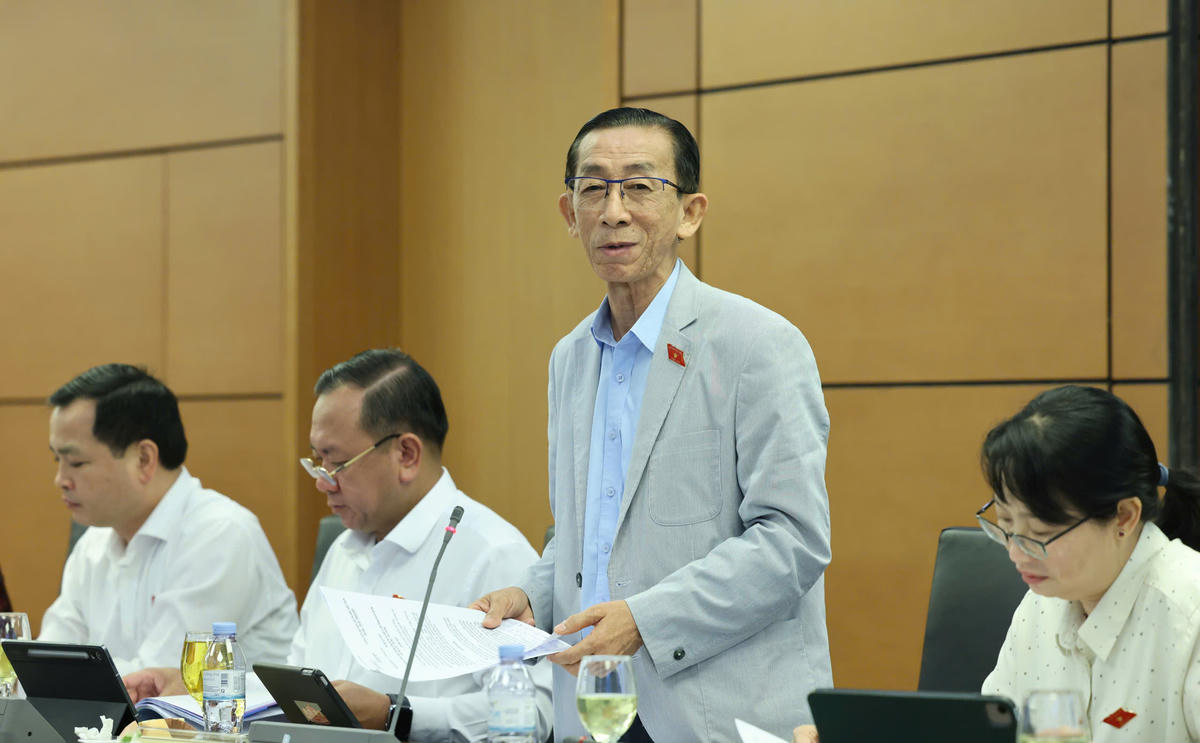 Đại biểu Trần Hoàng Ngân phát biểu. Ảnh: Quang Vinh